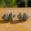 WIGWAG BUBBLE CAP | DANK BANGER DANK BANGER Carb Cap