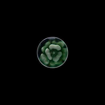 HYBRID SPINNER BANGER COMBO SET