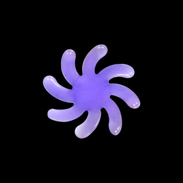 BANGER SPINNER